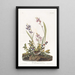 Field Sparrow - John James Audubon — framed artwork on a wall