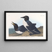 Insane Guillemot Painting - John James Audubon — framed artwork on a wall