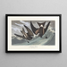 Pétrel à queue fourchue - John James Audubon — framed artwork on a wall
