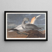 Fou de Bassan - John James Audubon — framed artwork on a wall