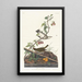 Gold-crowned Warbler - John James Audubon — framed artwork on a wall