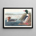 Harle bièvre - John James Audubon — framed artwork on a wall