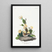 Meadowlark - John James Audubon — framed artwork on a wall