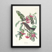 Tyran gris - John James Audubon — framed artwork on a wall