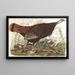 Large American Bison Painting, young - John James Audubon — framed artwork on a wall
