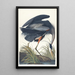 Grand héron bleu - John James Audubon — framed artwork on a wall