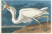 Grand heron blanc - John James Audubon — artwork view