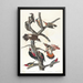 Pic chevelu Pic à ventre rouge Pic à ailes rouges Pic de Lewis Pic à poitrine rouge - John James Audubon — framed artwork on a wall