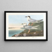 Sterne de Havell - John James Audubon — framed artwork on a wall