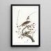 Solitary Thrush - John James Audubon — framed artwork on a wall
