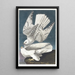 Falcon peregrine - John James Audubon — framed artwork on a wall