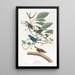 Indigo Passerin - John James Audubon — framed artwork on a wall
