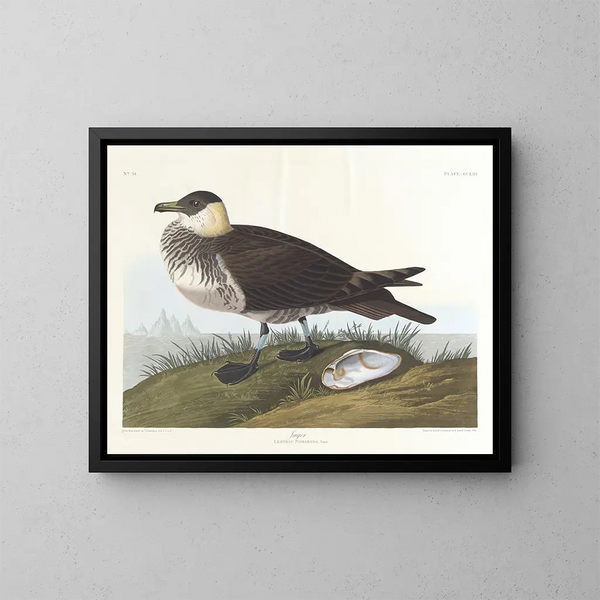 Hunter - John James Audubon — framed artwork on a wall