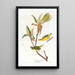 Kentucky Warbler Painting - John James Audubon — framed artwork on a wall