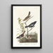 Bruant des prés Bruant des prairies Moineau chanteur brun - John James Audubon — framed artwork on a wall
