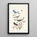 Bruant lazuli Bruant à collier d'argile Moineau des neiges de l'Oregon - John James Audubon — framed artwork on a wall