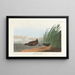 Water Rail - John James Audubon — framed artwork on a wall