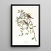 Sizerin flammé - John James Audubon — framed artwork on a wall