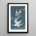Dwarf Stars - John James Audubon — framed artwork on a wall