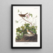 Lincoln's Song Sparrow - John James Audubon — framed artwork on a wall
