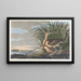 Curlew Long-billed - John James Audubon — framed artwork on a wall