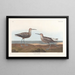 Bécasseau à longues pattes - John James Audubon — framed artwork on a wall