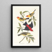 Louisiane Tangara Scarlet - John James Audubon — framed artwork on a wall