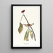 Louisiana Brown Thrasher - John James Audubon — framed artwork on a wall