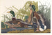 Duck Drake - John James Audubon — artwork view