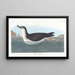 Puffin of the English - John James Audubon — framed artwork on a wall