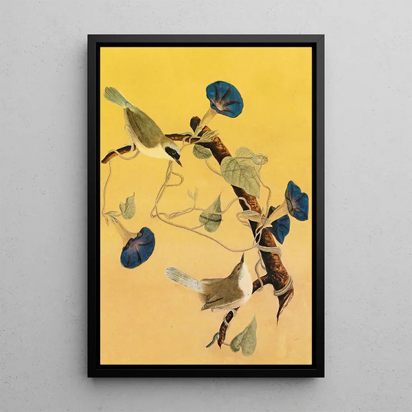 Parulines du Maryland - John James Audubon — framed artwork on a wall