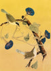 Parulines du Maryland - John James Audubon — artwork view