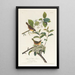 Maryland Warbler Painting - John James Audubon — framed artwork on a wall