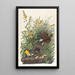 Sturnelle des prés - John James Audubon — framed artwork on a wall