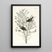 Orange-crowned Warbler - John James Audubon — framed artwork on a wall