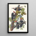 Red-headed Woodpecker - John James Audubon — framed artwork on a wall