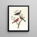 Durbec des sapins painting - John James Audubon — framed artwork on a wall