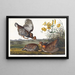 Grouse with Feathers - John James Audubon — framed artwork on a wall