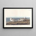 Snipe - John James Audubon — framed artwork on a wall