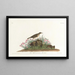 Alouette des prairies - John James Audubon — framed artwork on a wall