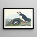 Macareux Painting - John James Audubon — framed artwork on a wall
