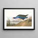 Talève violacée - John James Audubon — framed artwork on a wall