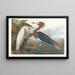 Heron foré pourpré - John James Audubon — framed artwork on a wall