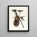 Hirondelle pourprée - John James Audubon — framed artwork on a wall