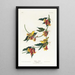 Paruline de Rathbone - John James Audubon — framed artwork on a wall