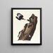 Red-headed Woodpecker - John James Audubon — framed artwork on a wall