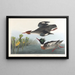 Harle huppé - John James Audubon — framed artwork on a wall