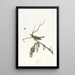 Viréo aux yeux rouges - John James Audubon — framed artwork on a wall