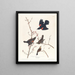 Red-winged Starling - John James Audubon — framed artwork on a wall