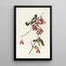 Sparrow of the rice fields - John James Audubon — framed artwork on a wall